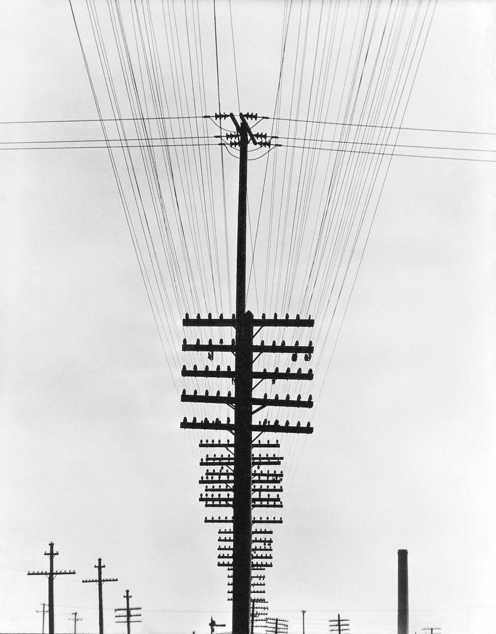 Telgraf Telleri, Meksika, 1925 by Tina Modotti