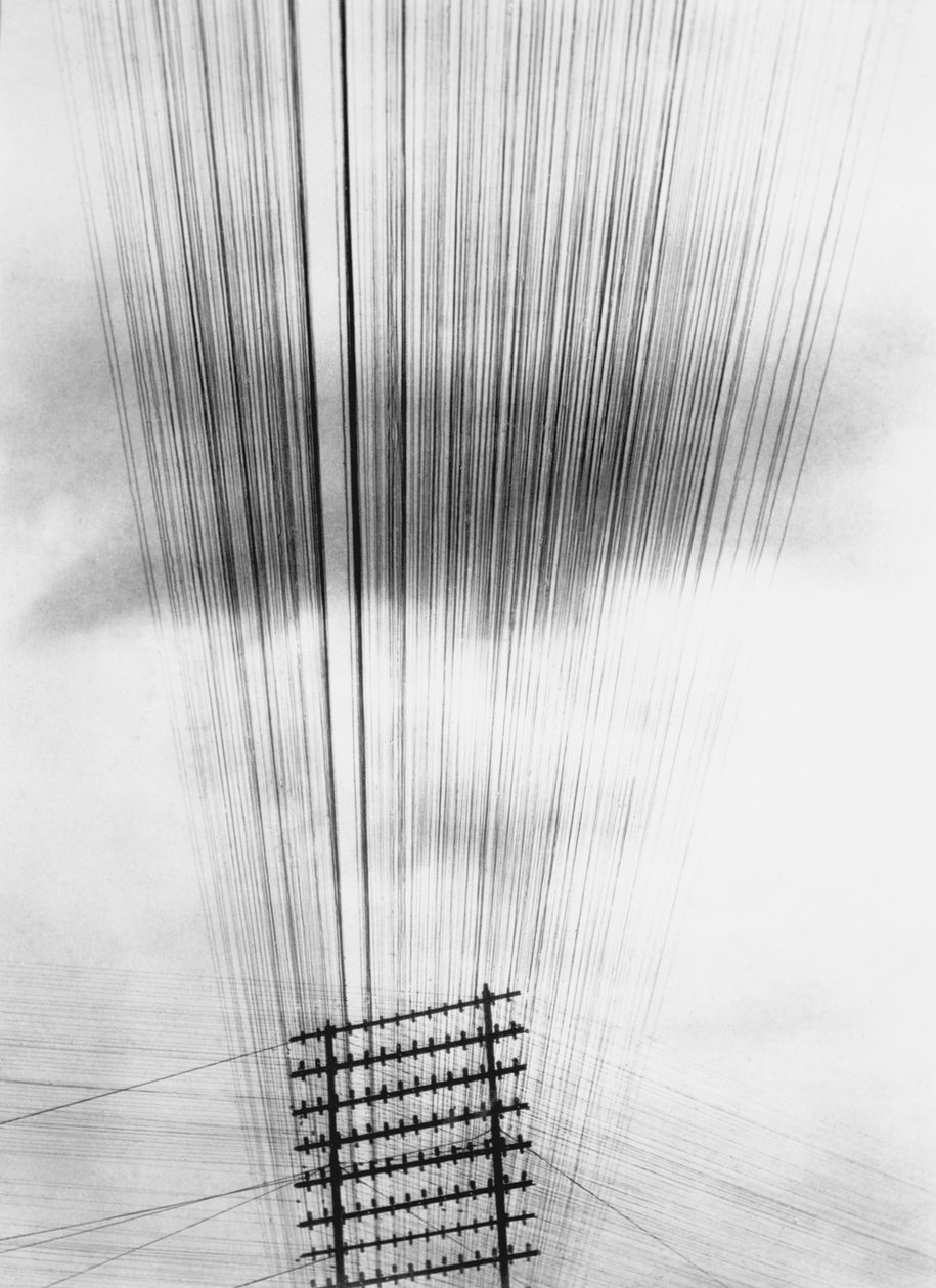 Telefon Kabloları, Meksika, 1925 by Tina Modotti