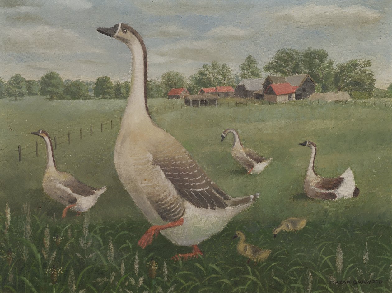 Solup dolaşacak mısın? by Tirzah Ravilious
