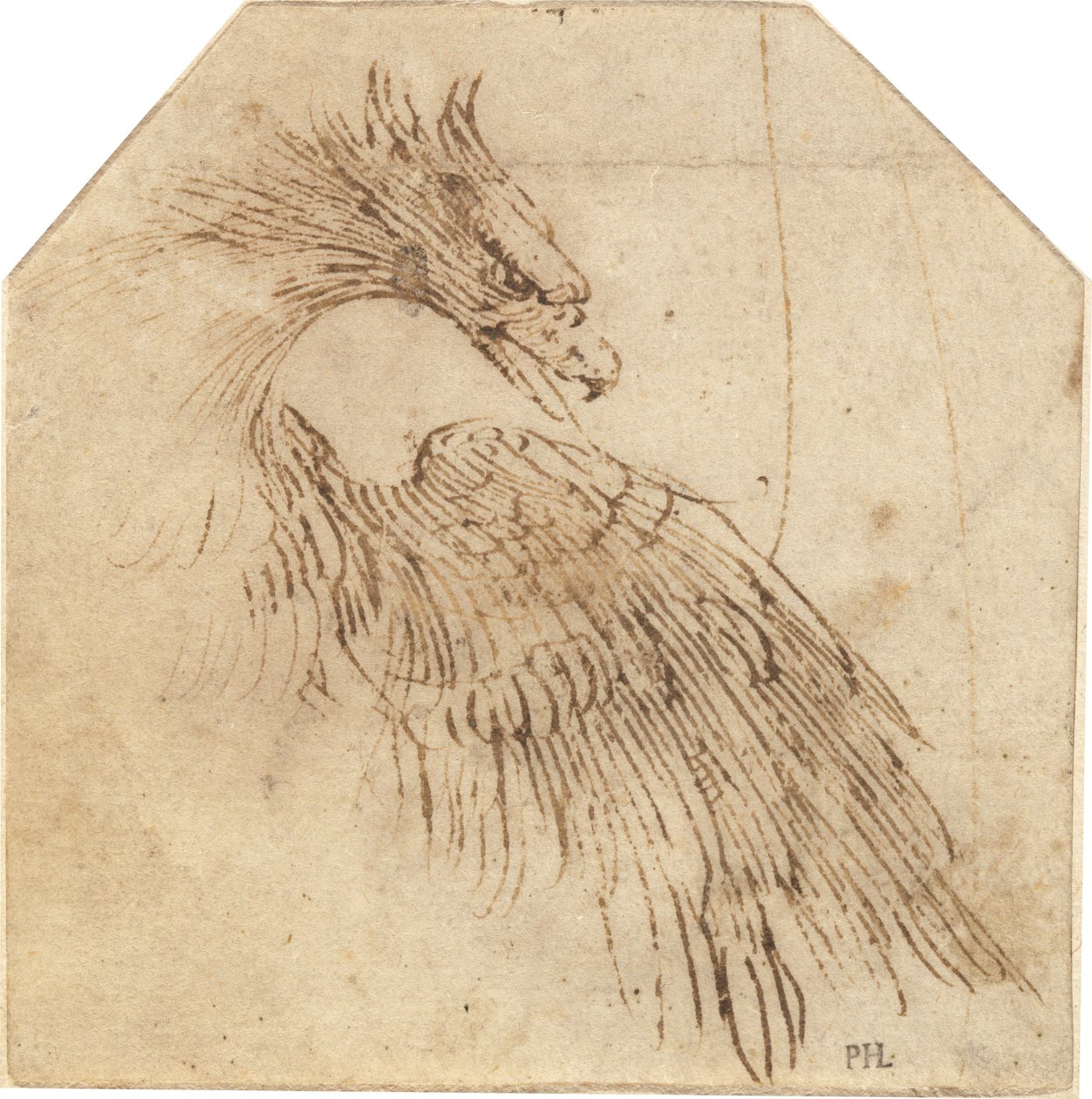 Bir kartal by Titian