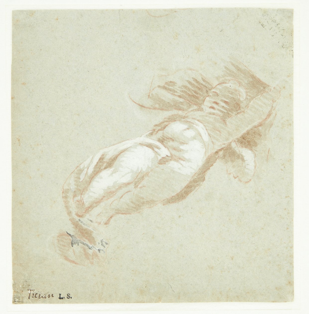 uçan putto by Tizian