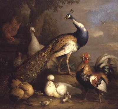 Peacock, Peahen ve Kümes Hayvanları Peyzajda by Tobias Stranover