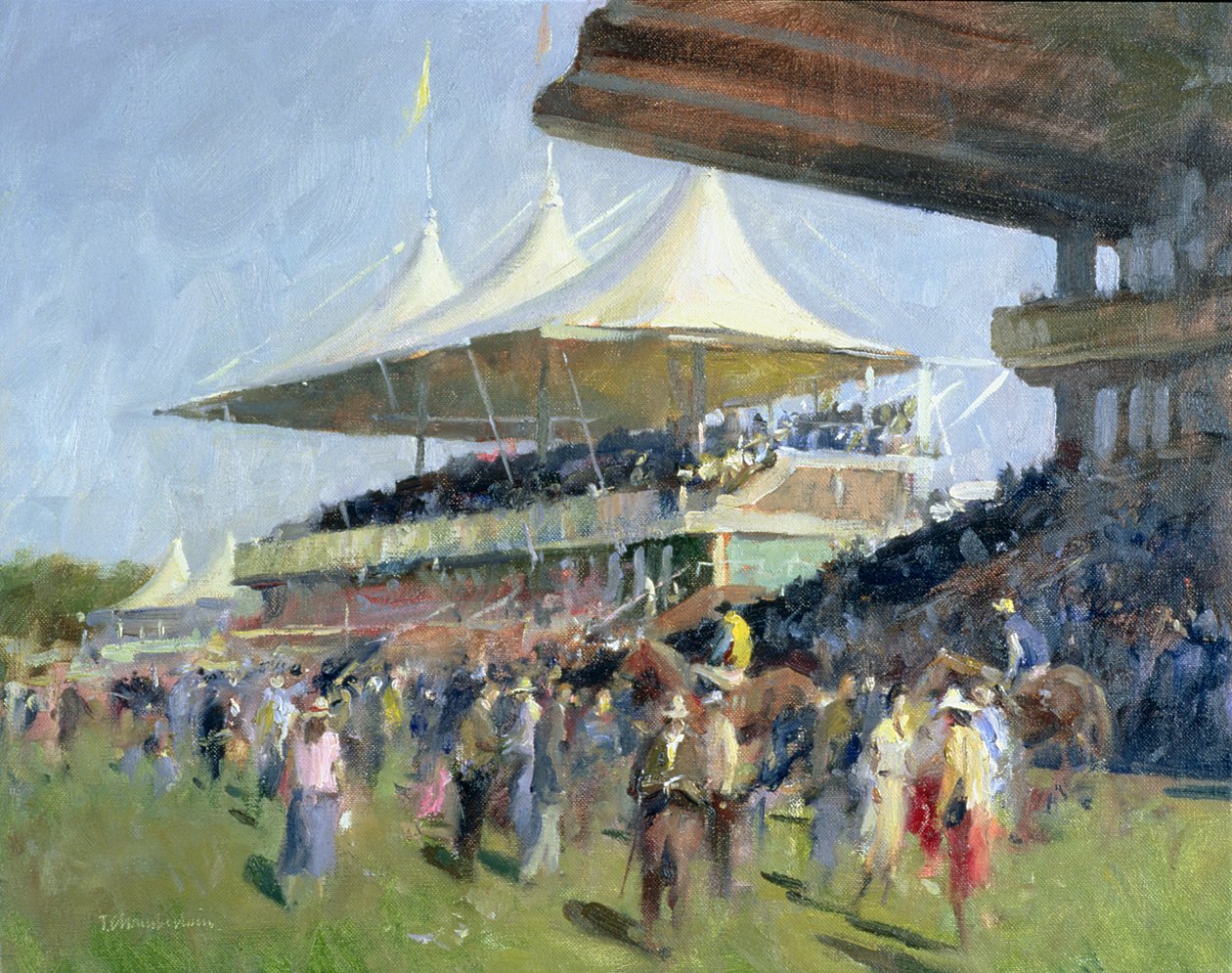 İyi odun by Trevor Chamberlain