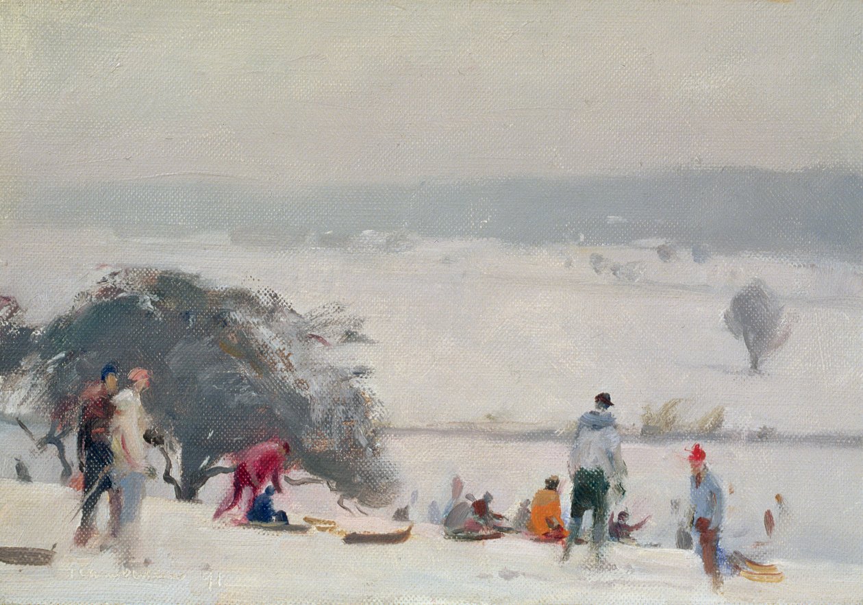Kızakla kayma, Meads, Hertford by Trevor Chamberlain