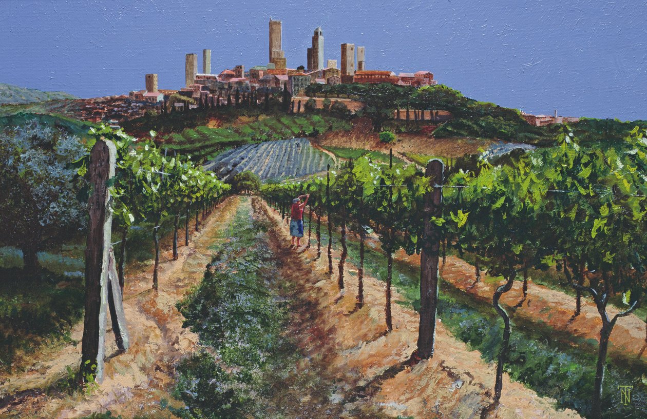 Üzüm Asmaları, San Gimignano, Toskana, 1998 by Trevor Neal