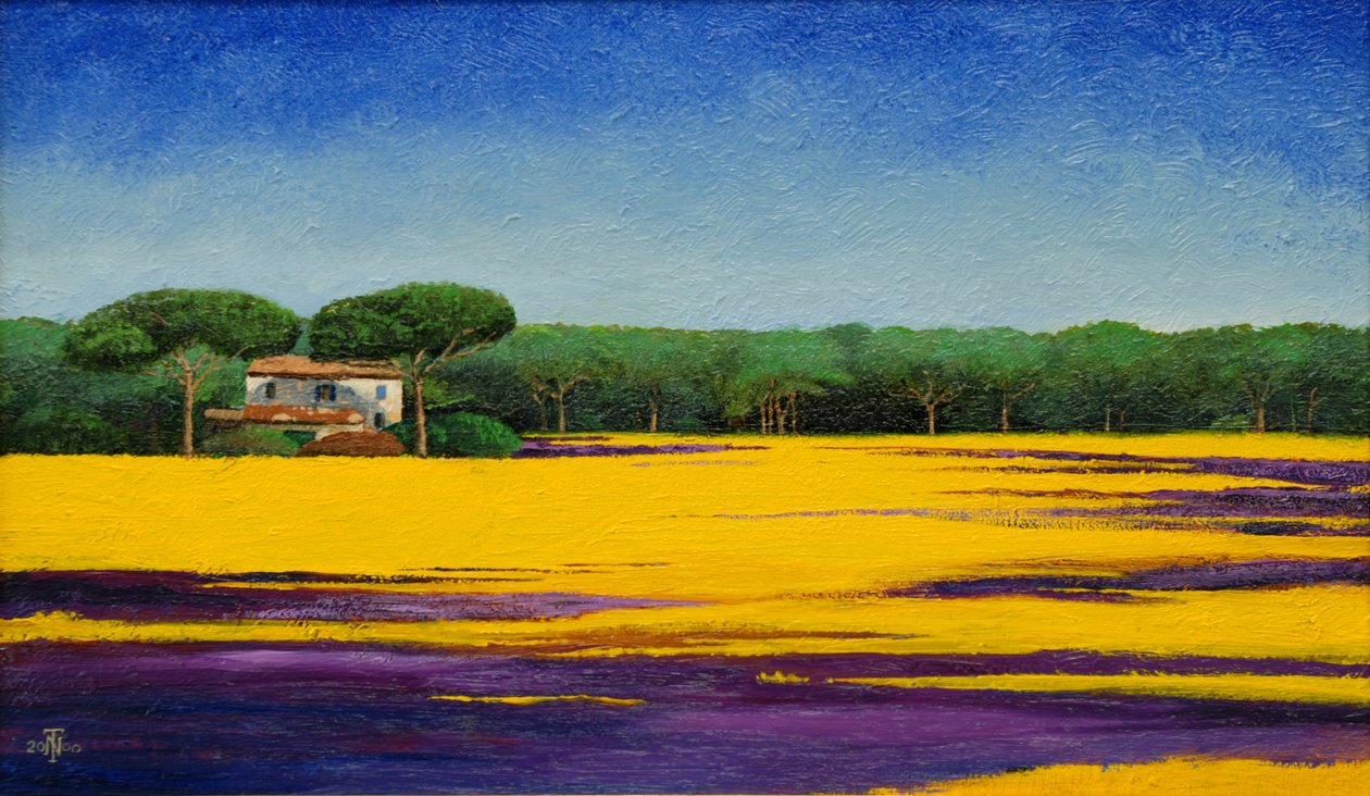 Toskana Manzarası, 2010 by Trevor Neal