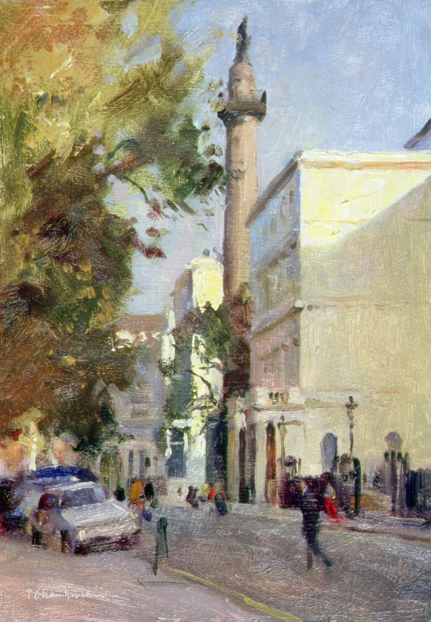 Carlton House Terrace (tuval üzerine yağlı boya) by Trevor Chamberlain