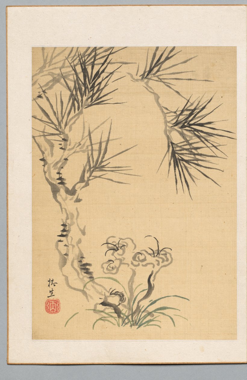 Çam Ağacı ve Mantar, 19. yüzyıl. by Tsubaki Chinzan