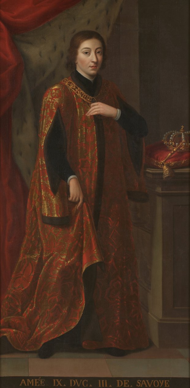 Amedeo IX