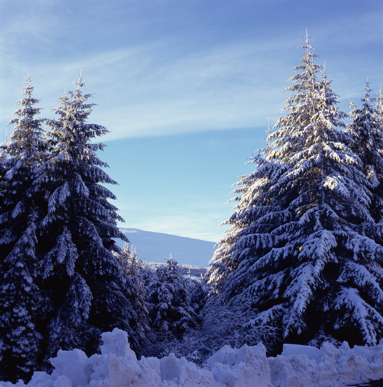 Wicklow Dağları