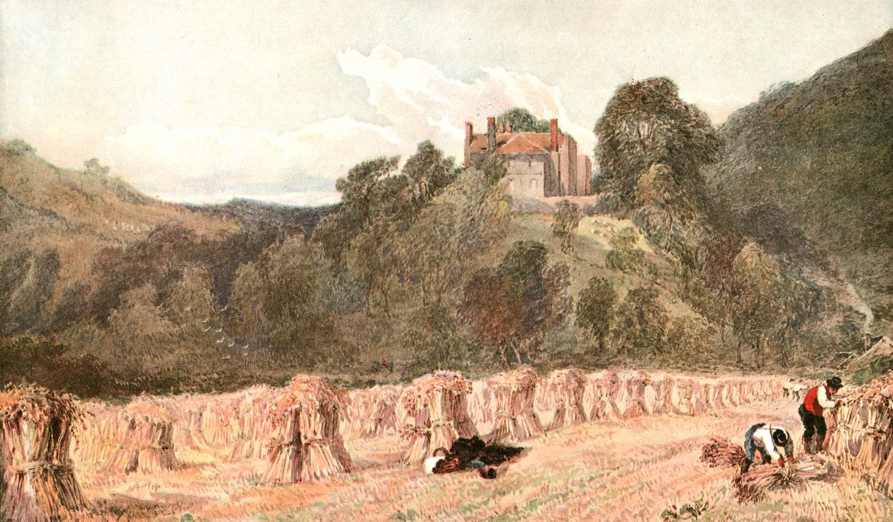 Bir Mısır Tarlası, c1840s, c1900. by Unbekannt