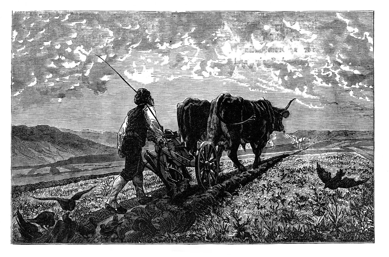 Fransız bir tarım uzmanı, c1890 by Unbekannt