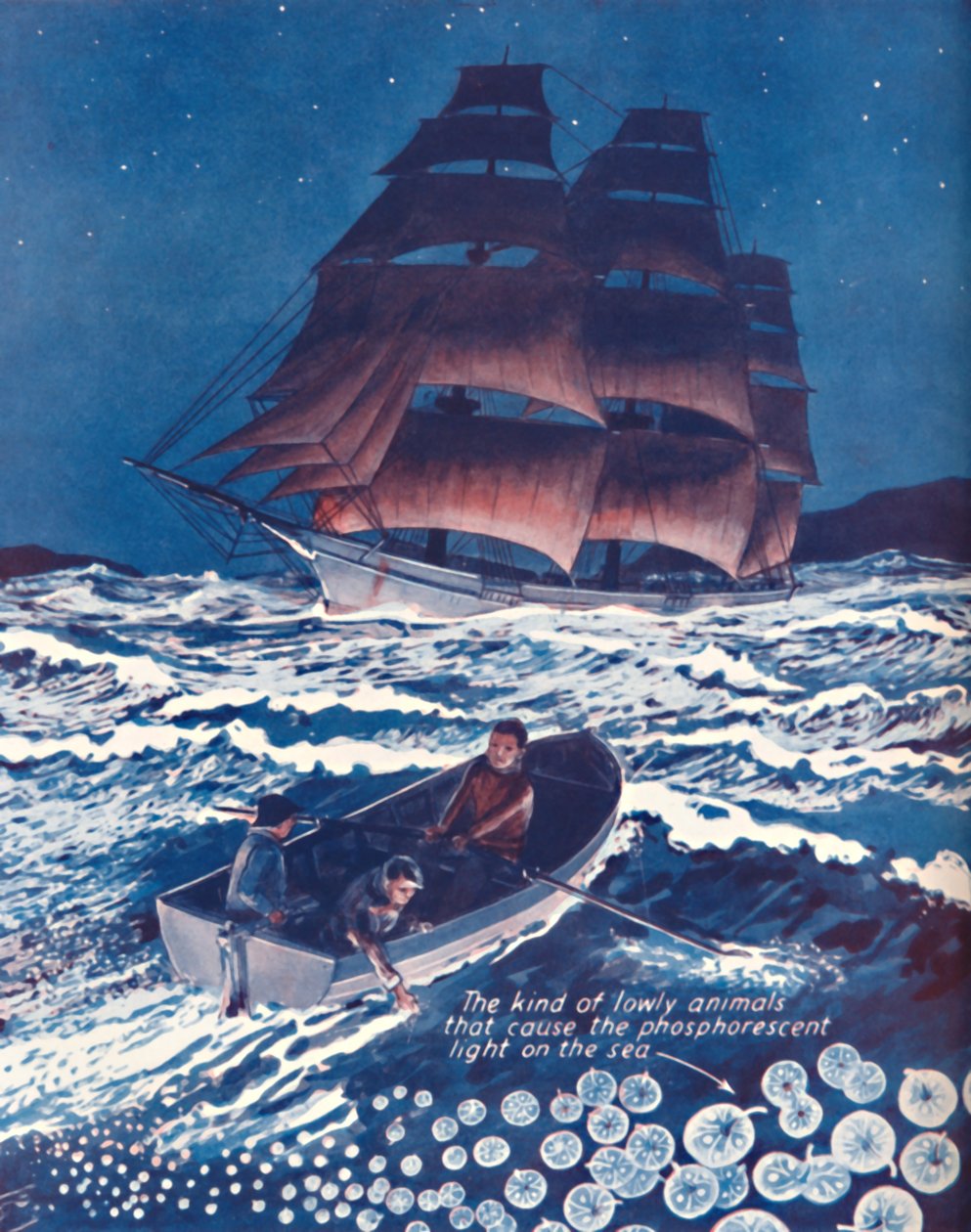 Yaşayan Gece Lambalarının Aydınlattığı Deniz, 1935 by Unbekannt