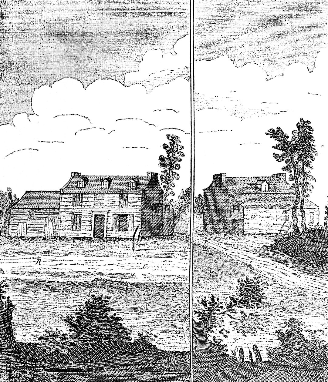 Eliza Canning