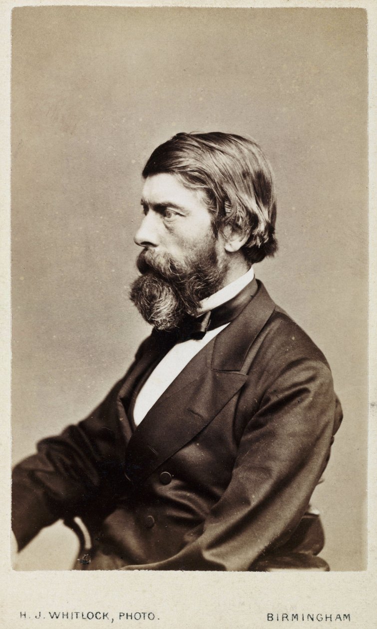 Alexander William Williamson, İskoç kimyager, 1865 dolayları by Unbekannt