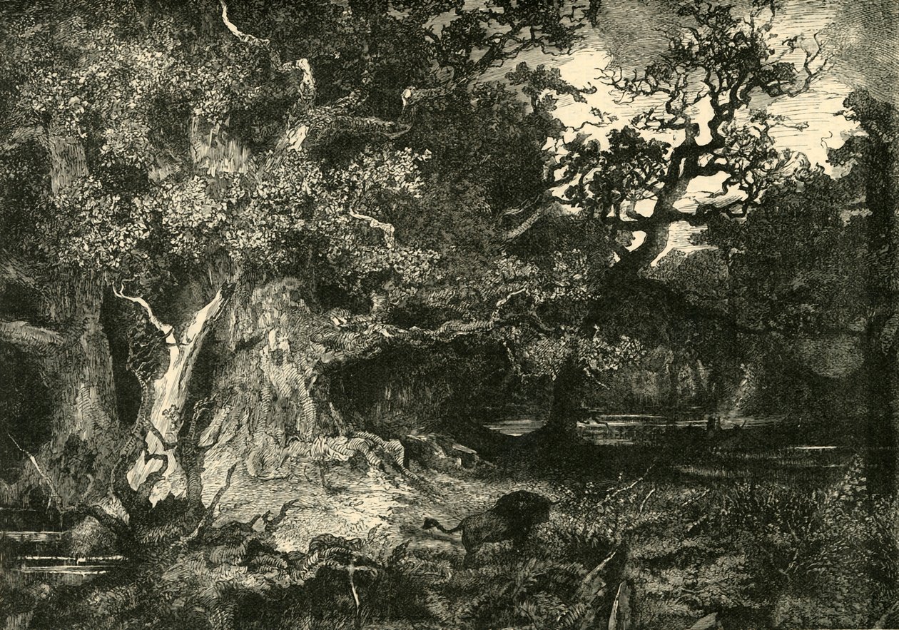 Eski Bir Alman Ormanı, 1890. by Unbekannt