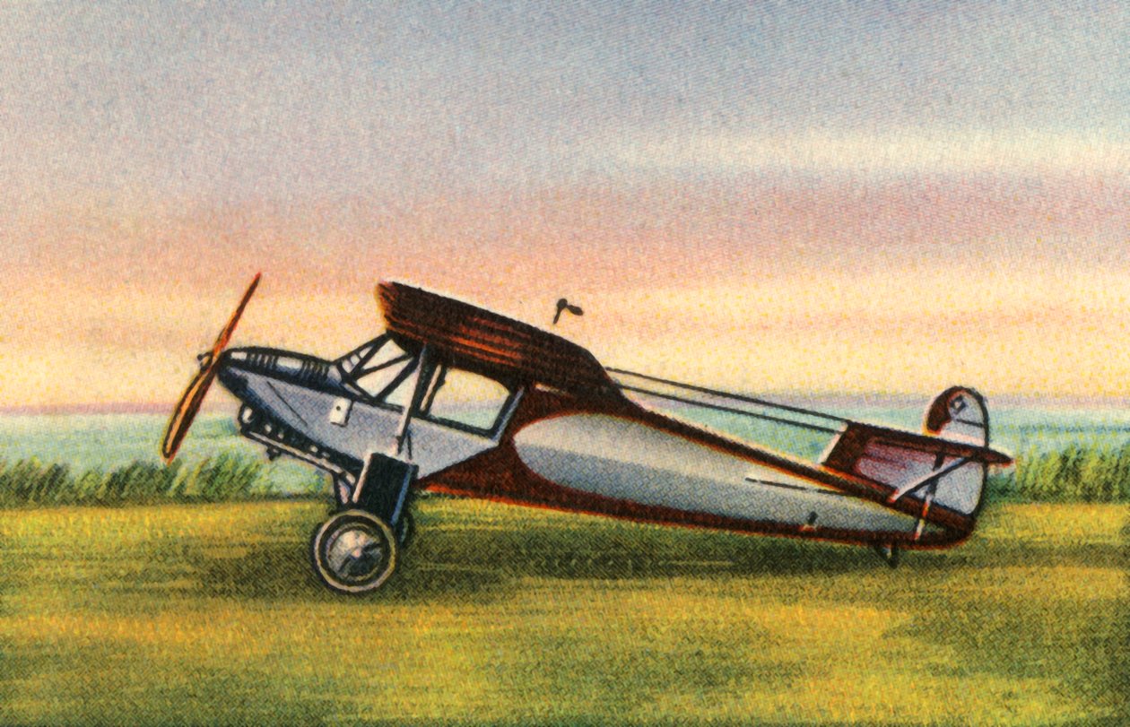Arado Treff Ass uçağı, 1920