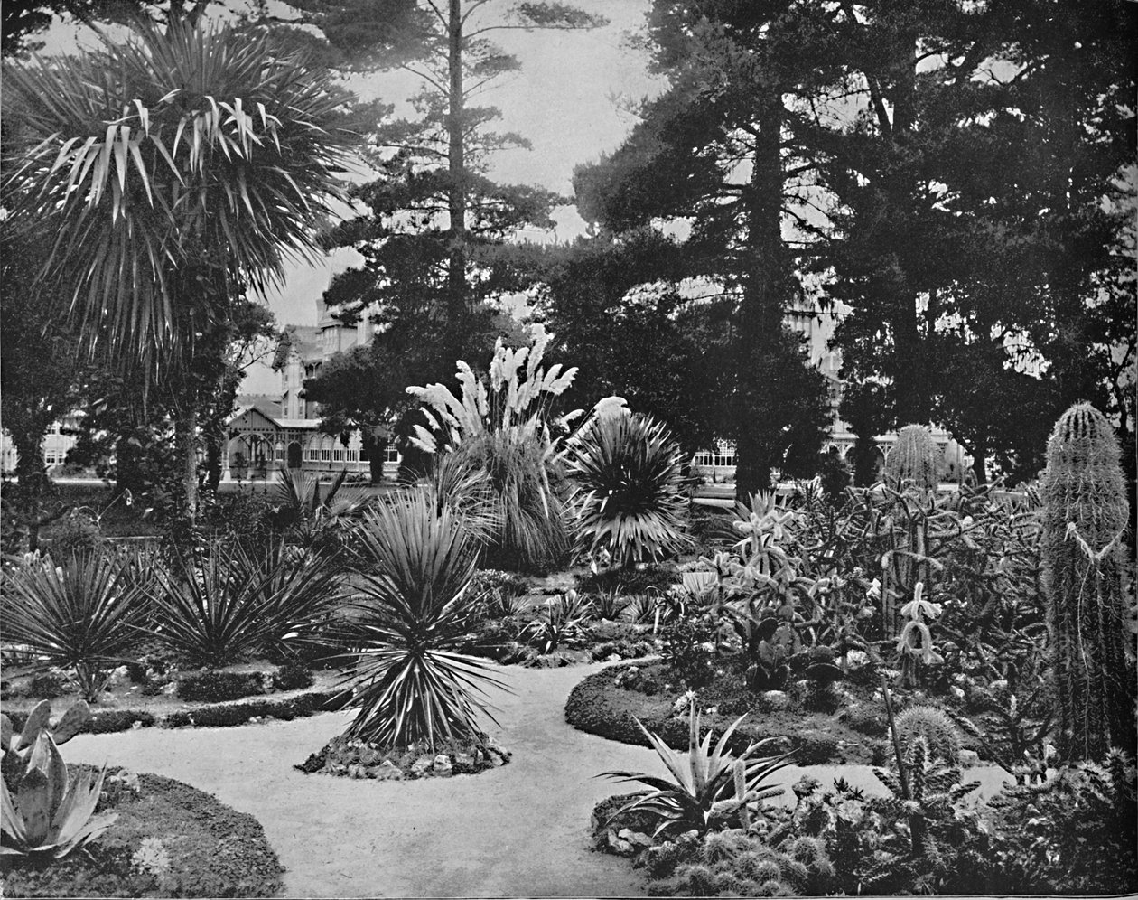 Arizona Bahçesi. Monterey, Cal., c1897. by Unbekannt