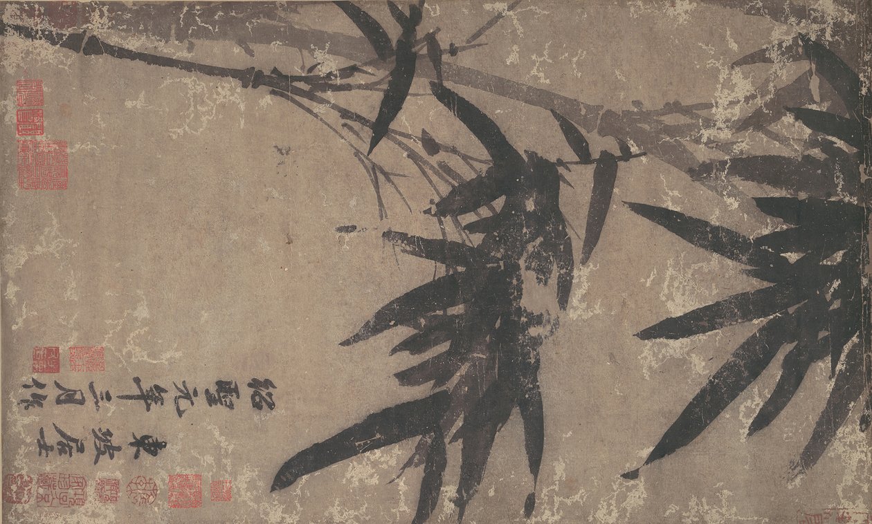 Bambu. by Unbekannt