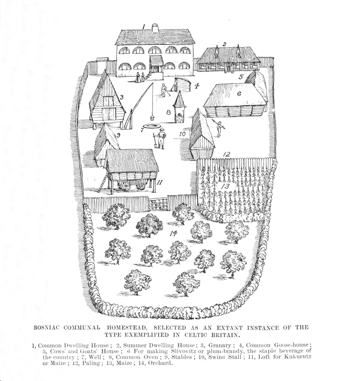 Boşnak Halk Çiftliği, 1902. by Unbekannt