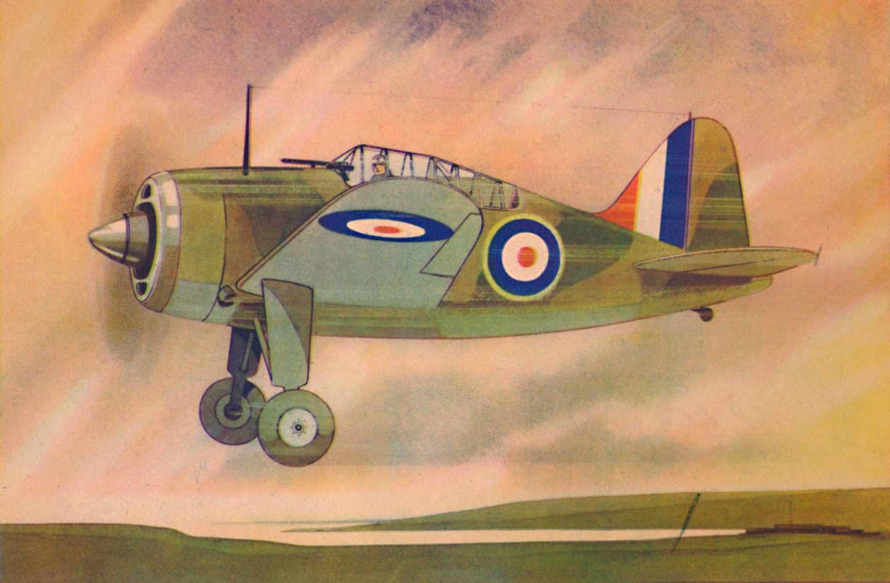 Brewster Buffalo Fighter Tek Kanatlı Uçak, c1944. by Unbekannt
