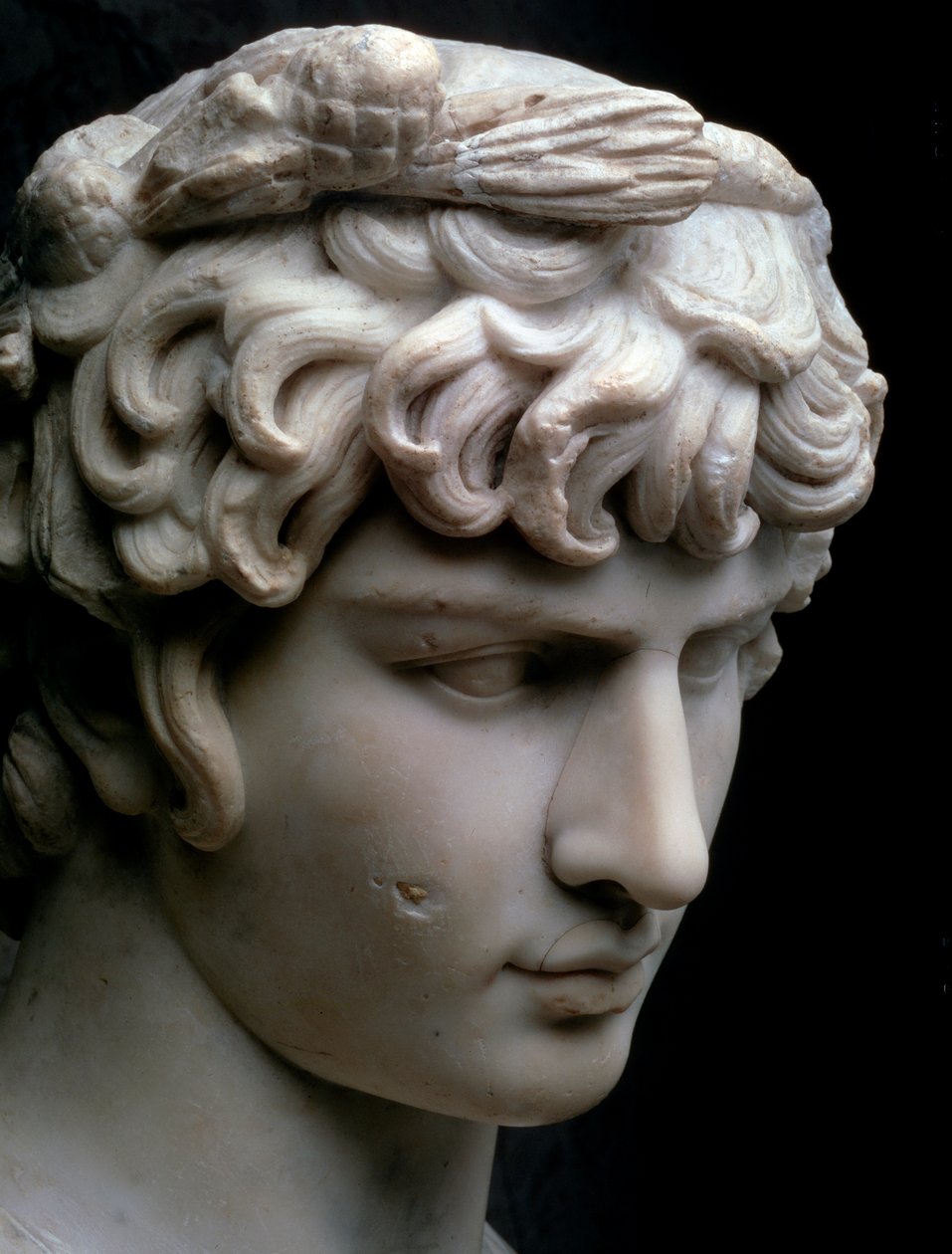 Antinous büstü, MS 2. yüzyıl ortası by Unbekannt