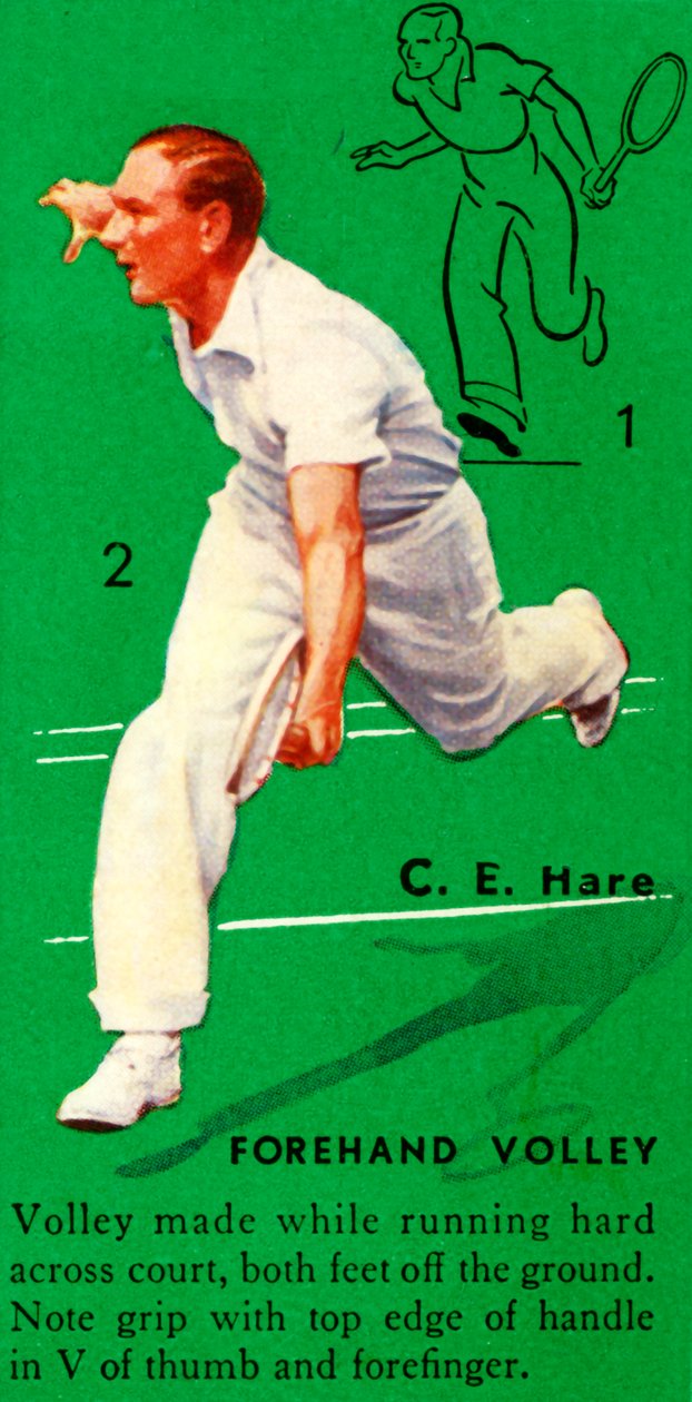 CE Hare - Forehand Voleybolu, c1935. by Unbekannt