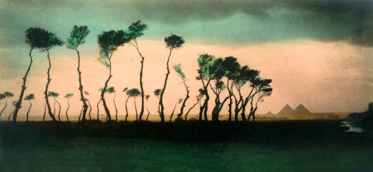Kahire: Piramitler, c1918-c1939. by Unbekannt