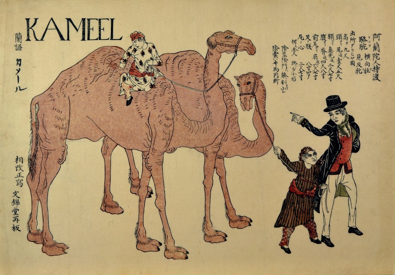 Hollandalı İşleyicileri olan Develer, yaklaşık. 1821. by Unbekannt