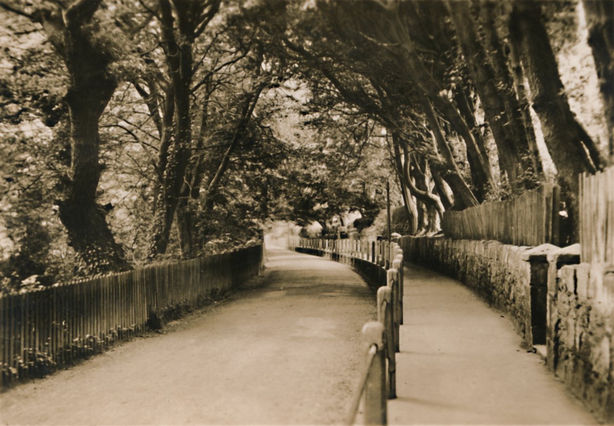 Chine Avenue, Shanklin, I.W., c1920. by Unbekannt