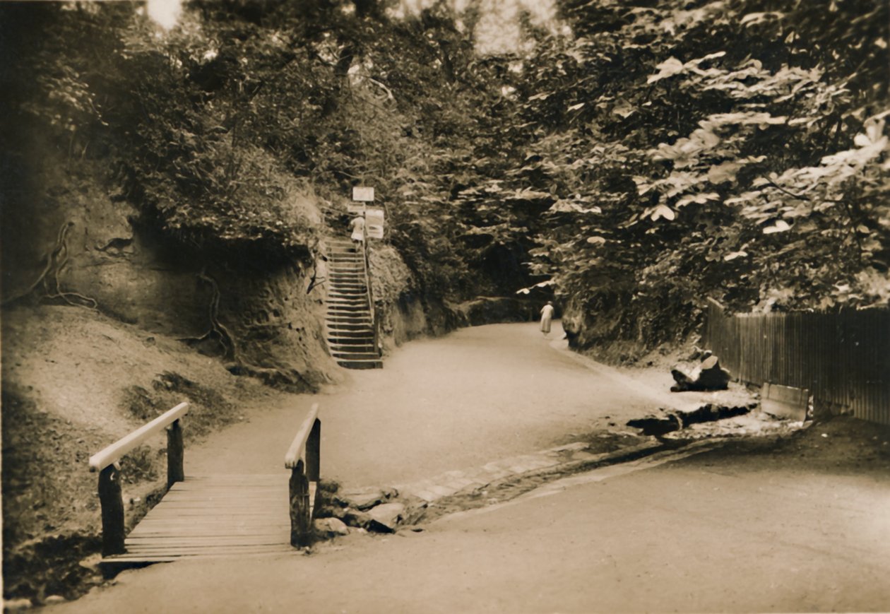 Chine Hollow, Shanklin, I.W., c1920. by Unbekannt