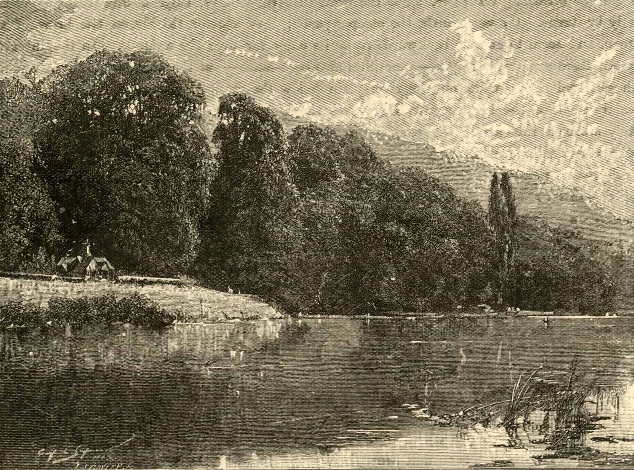 Cliefden Woods, 1898. by Unbekannt