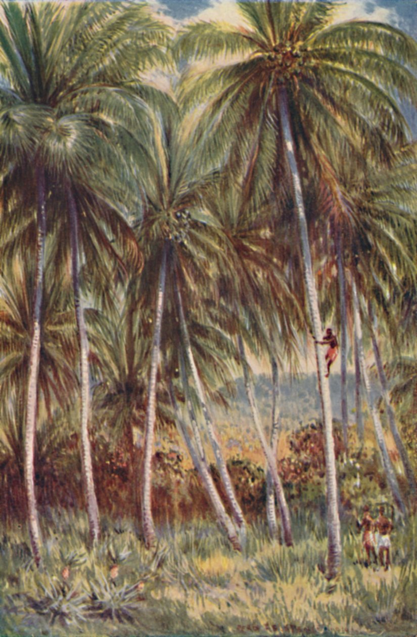 Kuzey Queensland