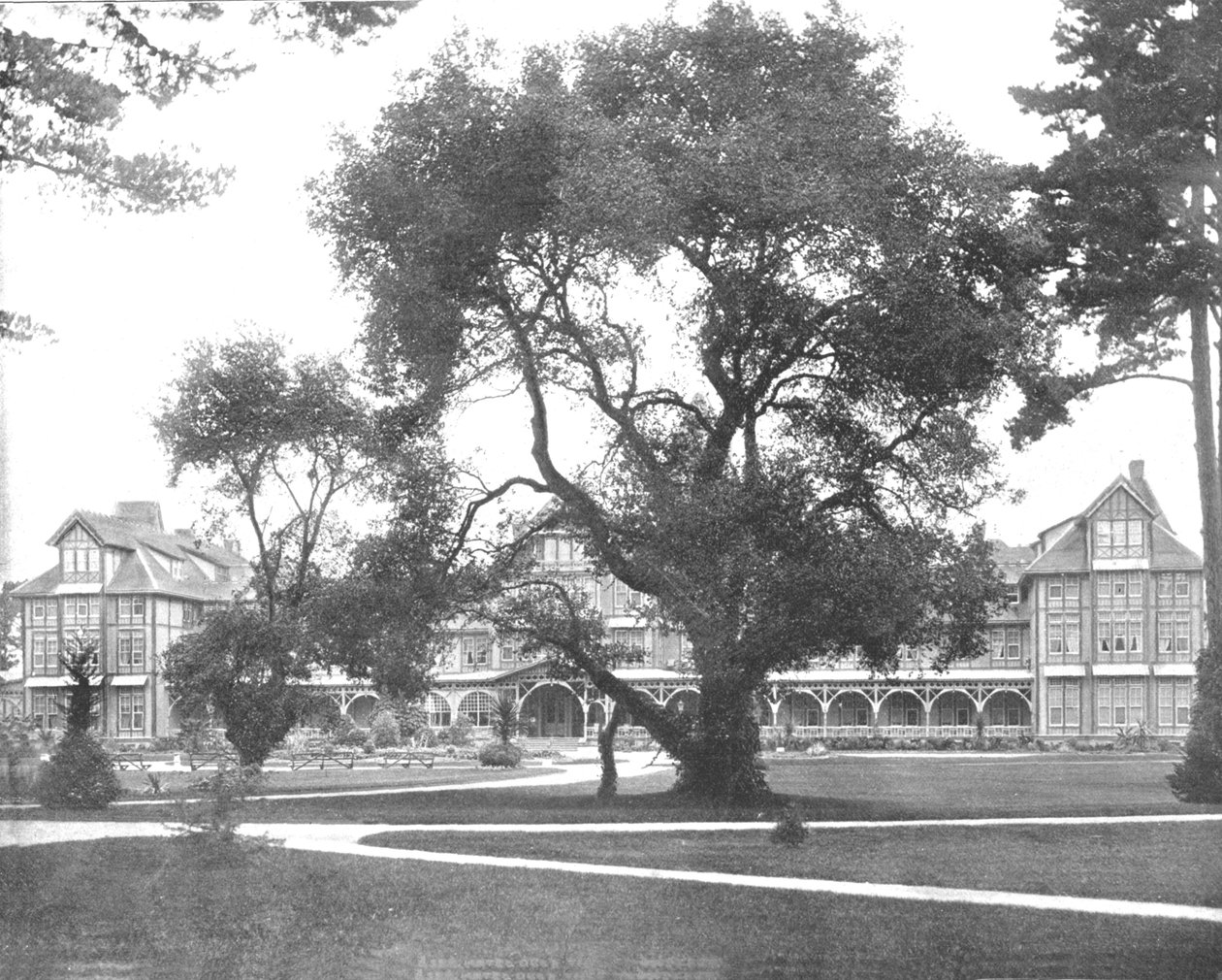 Del Monte, Monterey, Kaliforniya, ABD, c1900. by Unbekannt