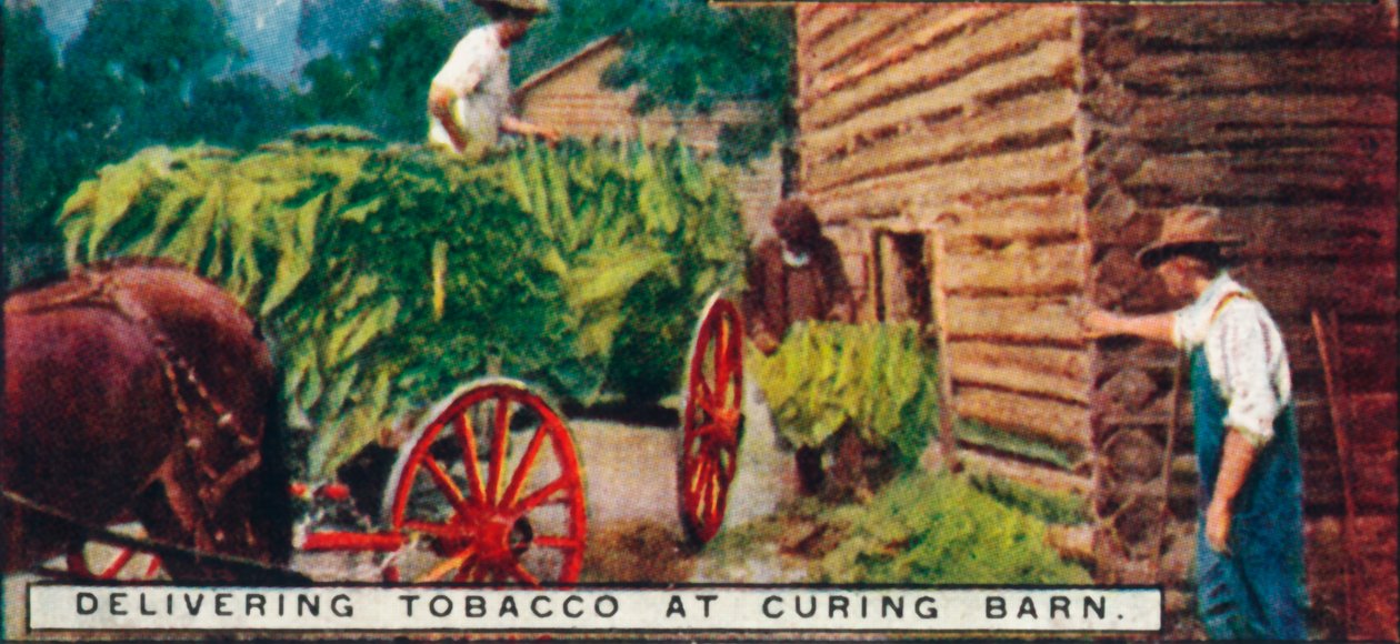 Curing Barn