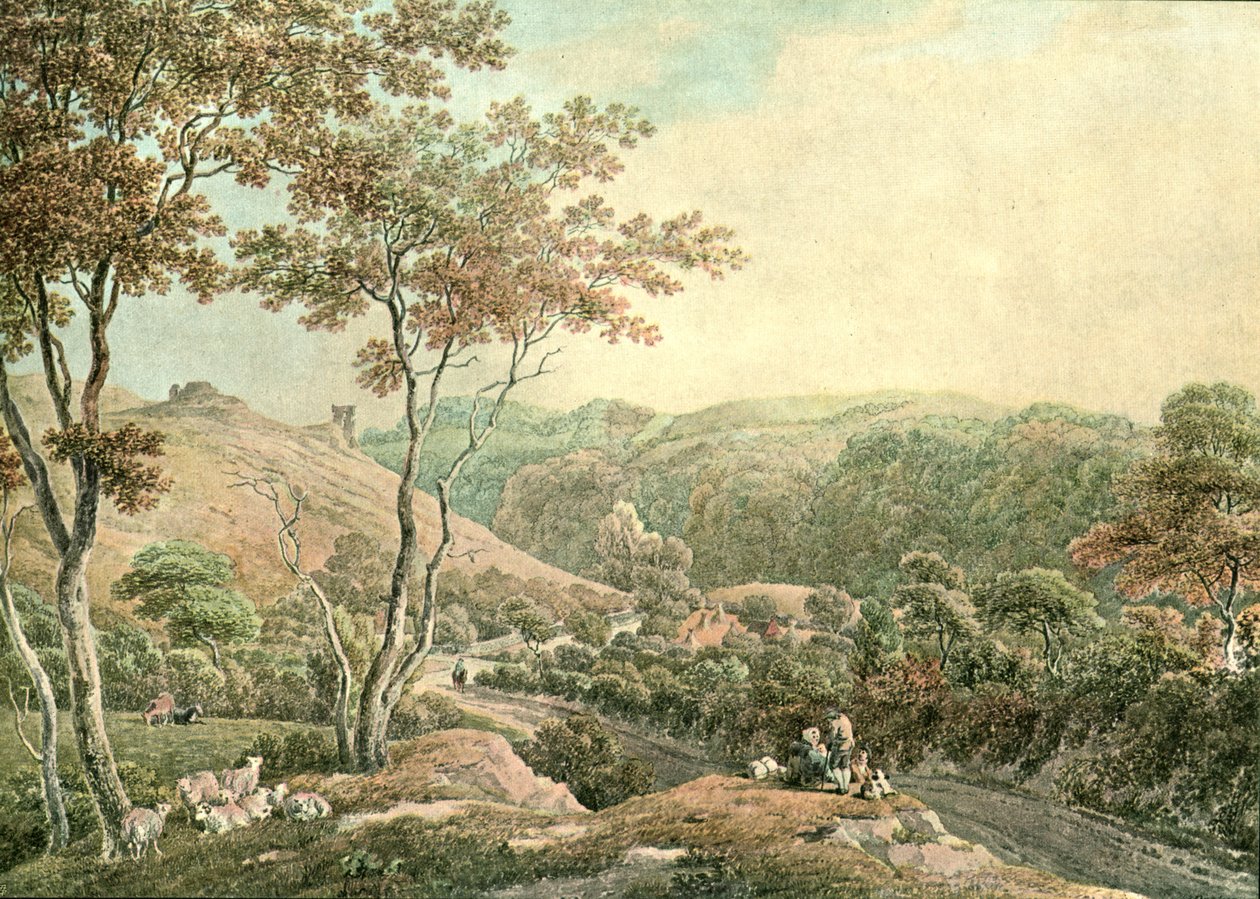 Drysllwyn Şatosu, Carmarthenshire, c1900. by Unbekannt
