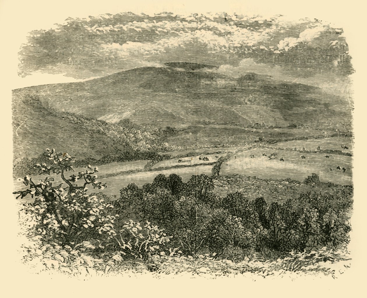 Dunkery İşareti, 1898. by Unbekannt
