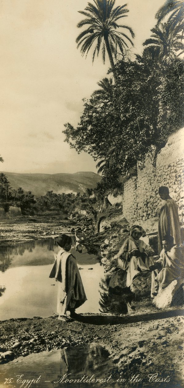 Mısır - Vahada Öğle Yemeği, c1918-c1939. by Unbekannt