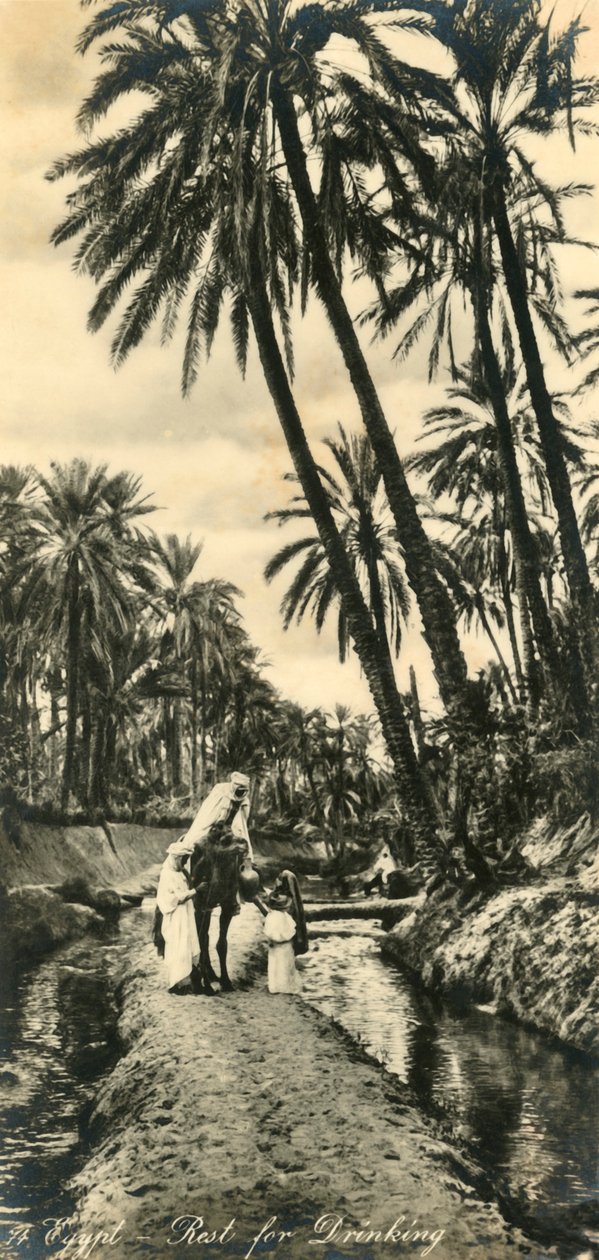 Mısır - İçmek İçin Dinlenme, c1918-c1939. by Unbekannt