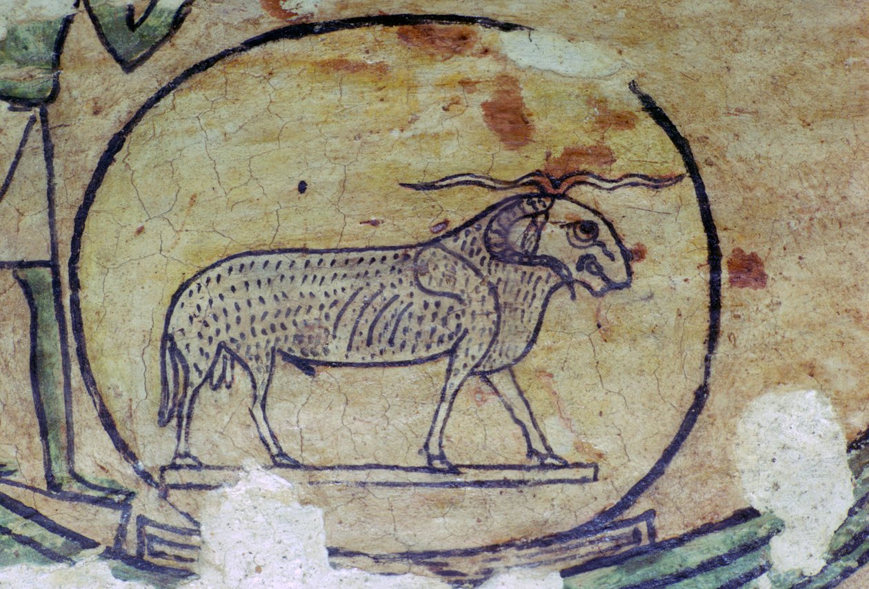 Ram olarak Amon