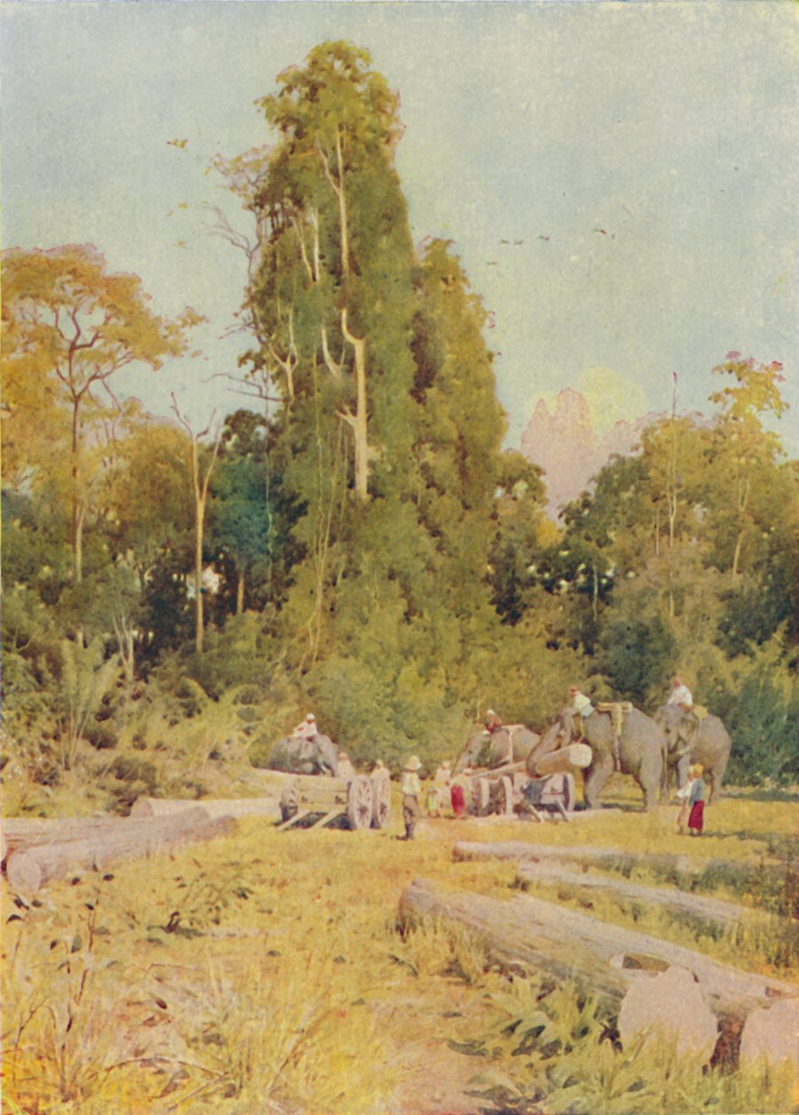 Filler Teak Kazık, 1924 by Unbekannt