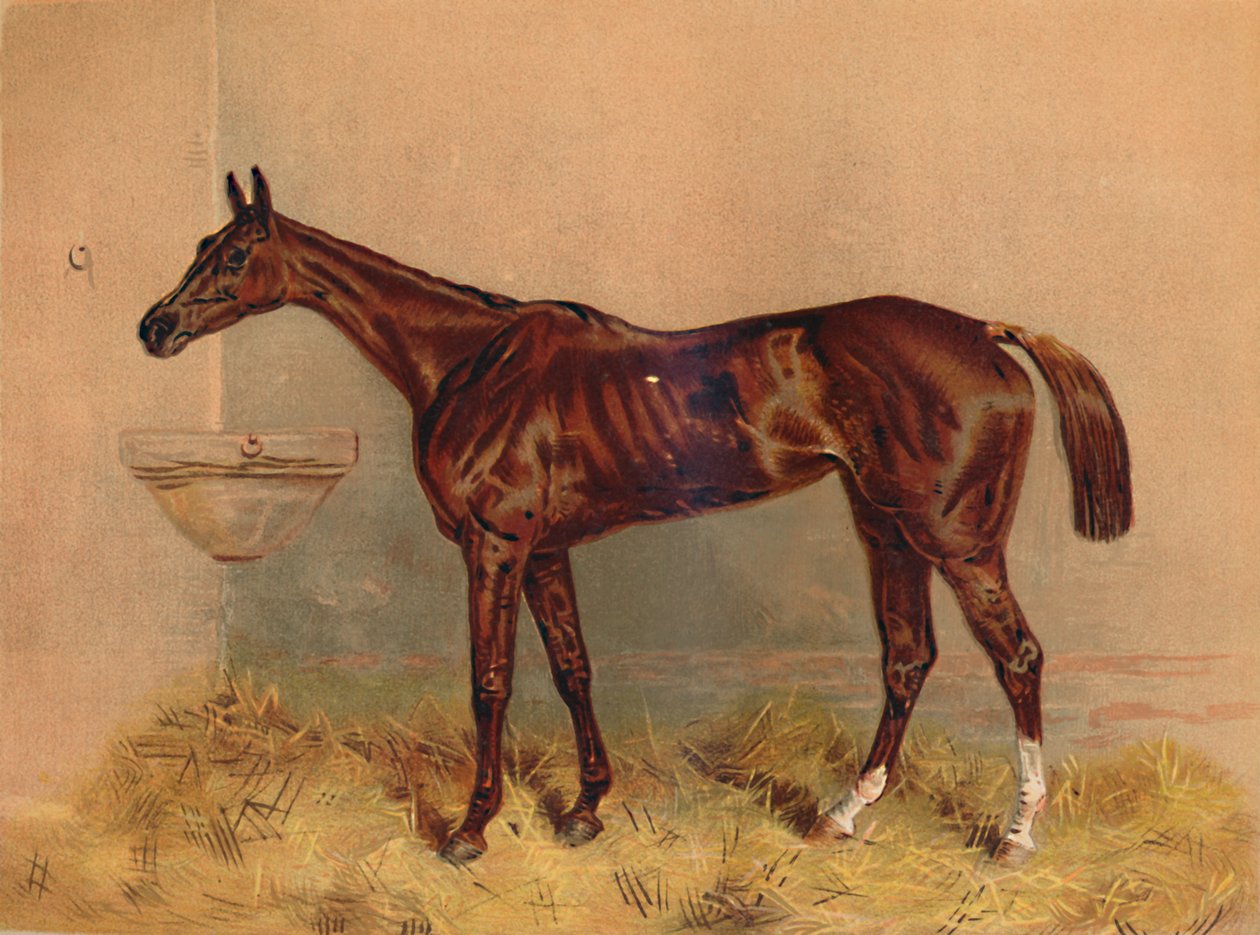 Amblem, Engelli Koşu Kısrak, c1879. by Unbekannt