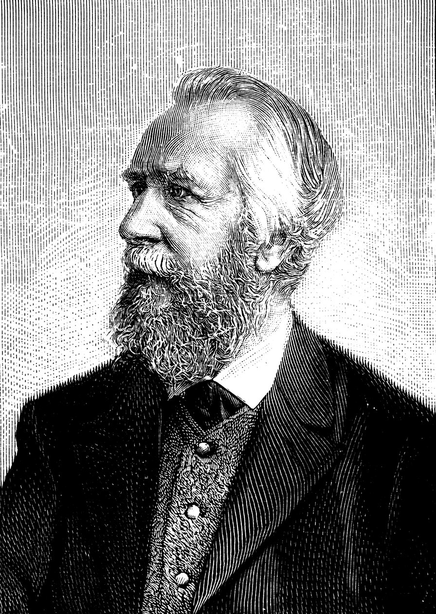 Ernst Haeckel 1834-1919, Alman zoolog ve evrimci by Unbekannt