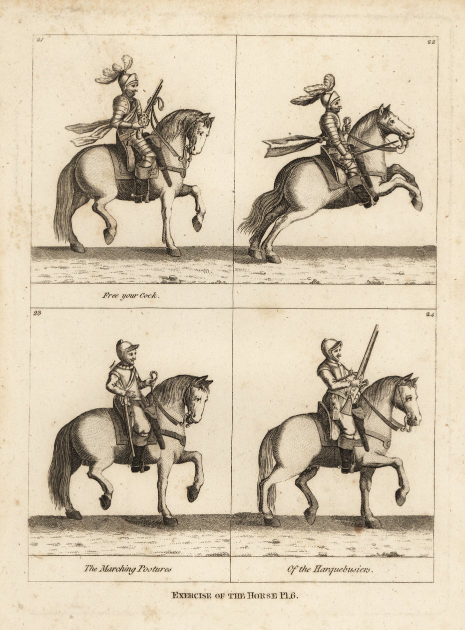 Exercise of the horse by Unbekannt