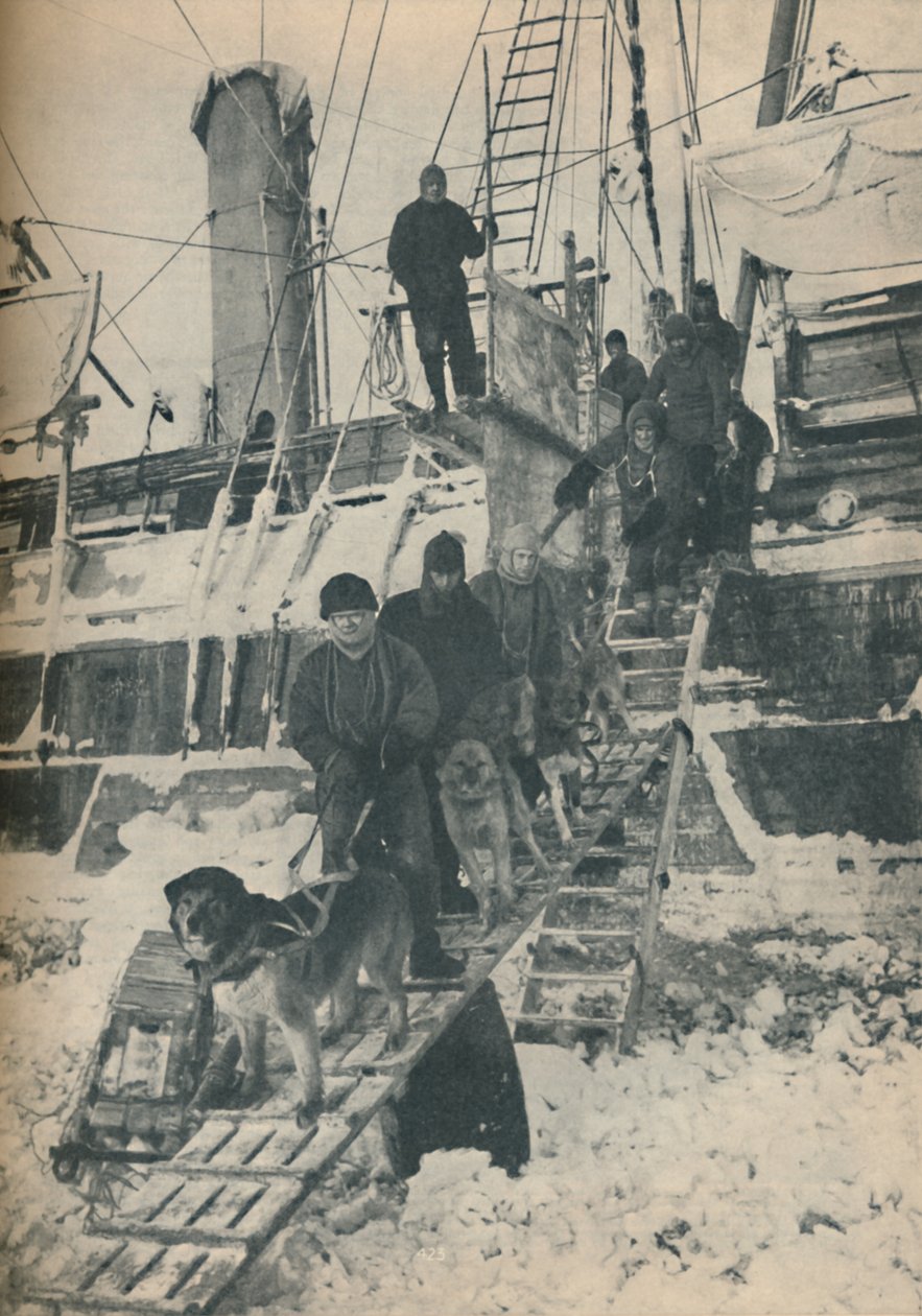 Köpekleri Egzersiz Yapmak, 1936 by Unbekannt