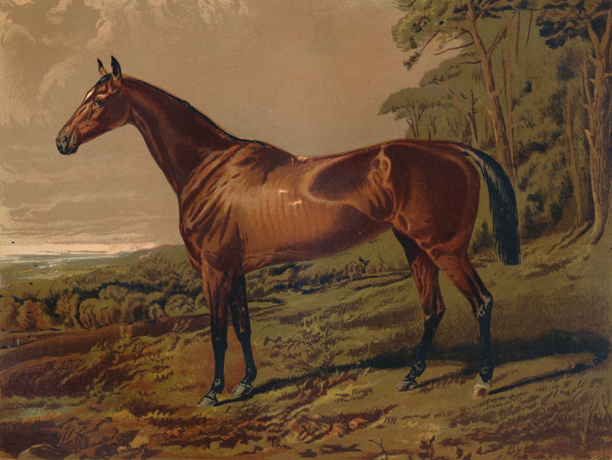 Adil Nell, c1879. by Unbekannt
