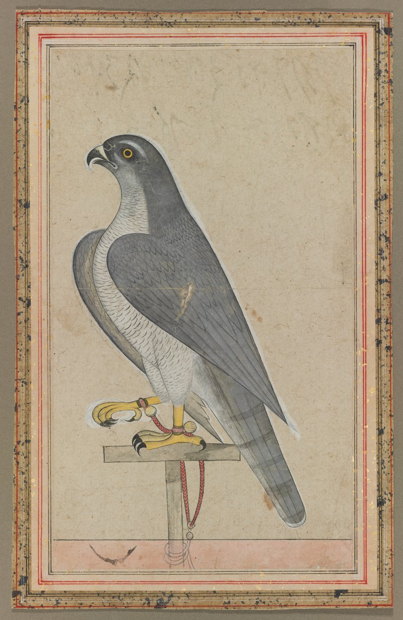 Şahin, ç. 1770. by Unbekannt