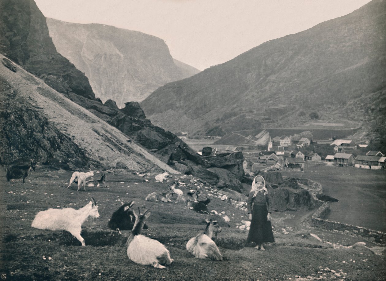 Flaman, 1914. by Unbekannt