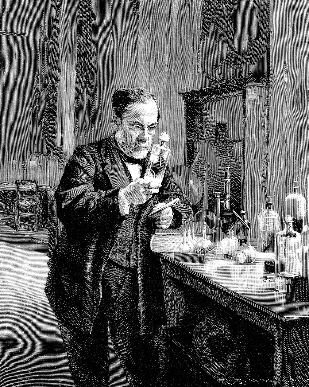 Fransız kimyager ve mikrobiyolog Louis Pasteur 18221895 by Unbekannt