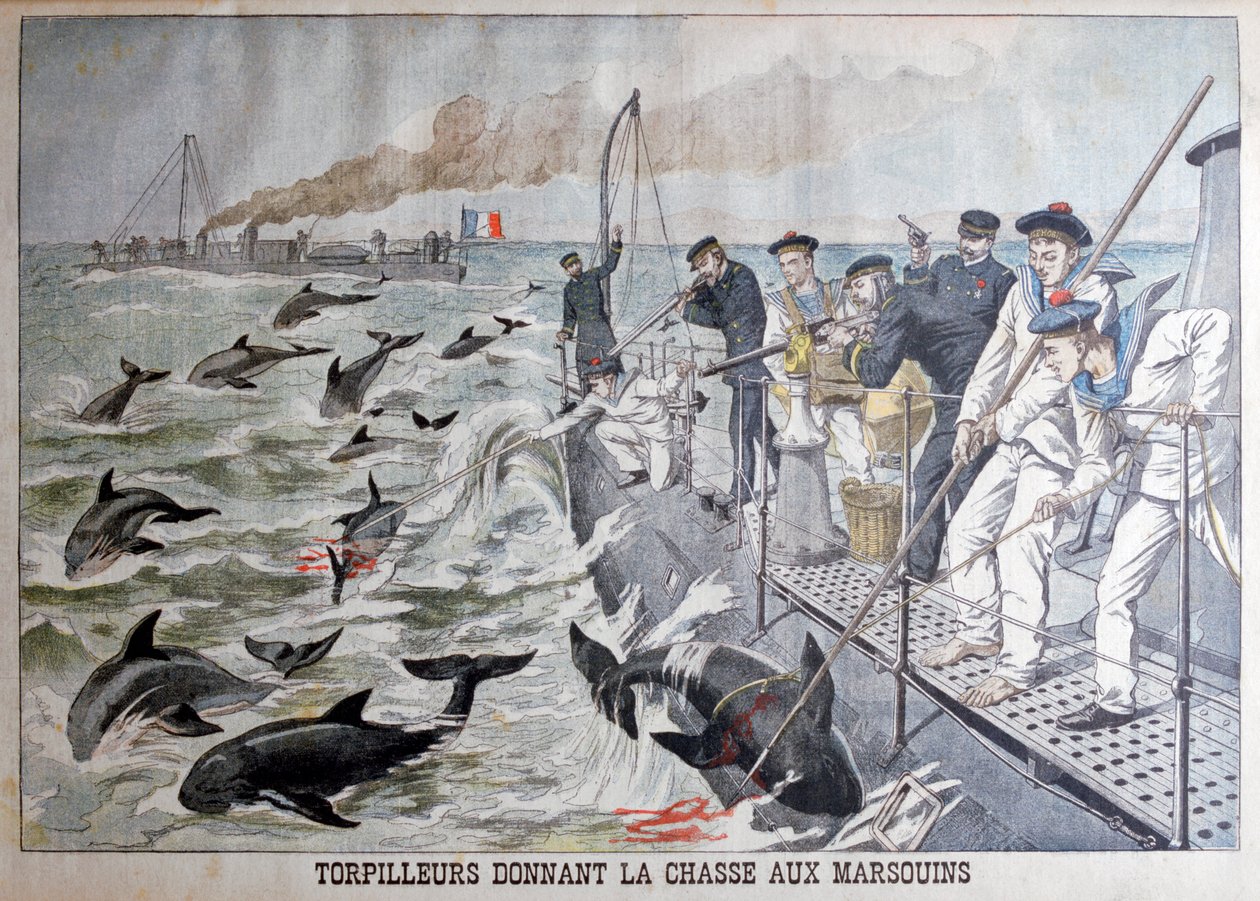 Fransız torpido botları yunusları avlıyor, 1903 by Unbekannt